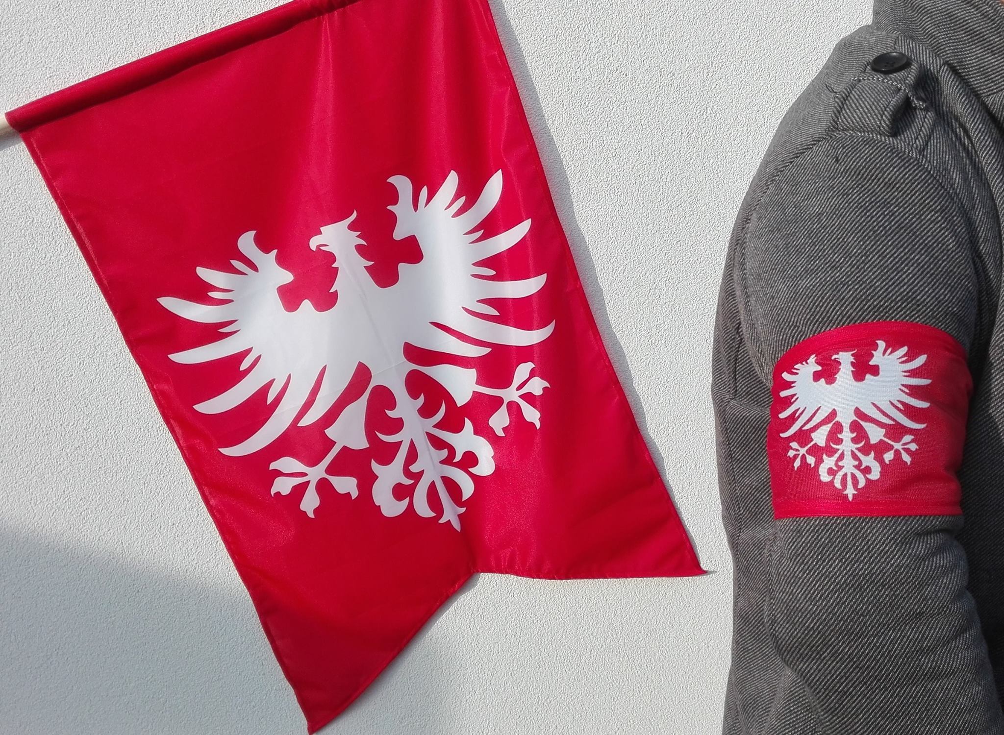 flagi powstania wielkopolskiego