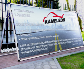 Płotek class Kameleon