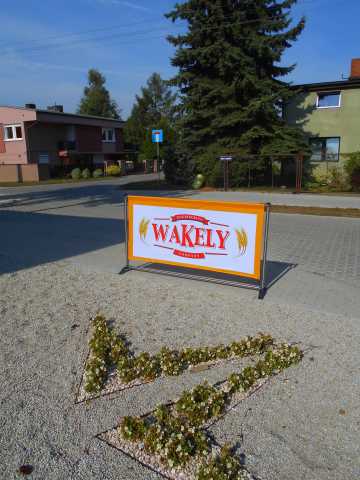 Płotek stardard - Wakley